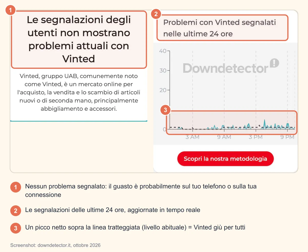 Screenshot della pagina Vinted di Downdetector Italia: messaggio «nessun problema attuale» e grafico delle segnalazioni delle ultime 24 ore con la linea tratteggiata del livello abituale, annotati