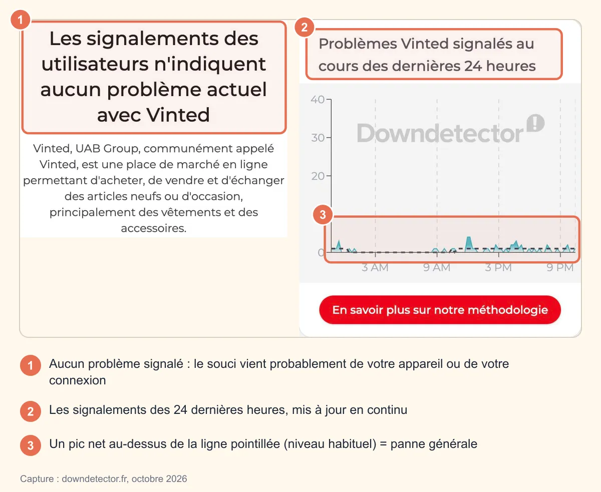 Capture de la page Vinted de Downdetector : message « aucun problème actuel » et courbe des signalements des dernières 24 heures avec la ligne pointillée du niveau habituel, annotés